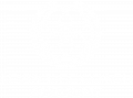 levin life coach academy